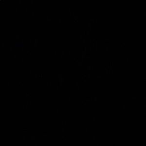 Meet your Posher, Audrey